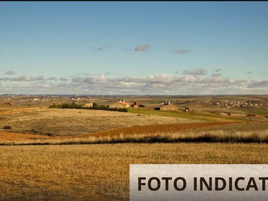 Immagine 10 di Terreno edificabile in vendita  in Via Ponte Bianco a Camposanto