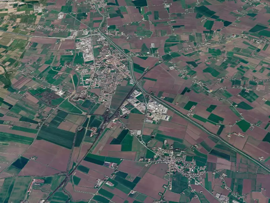 Immagine 11 di Terreno agricolo in vendita  in Via Quari Destra a Cologna Veneta