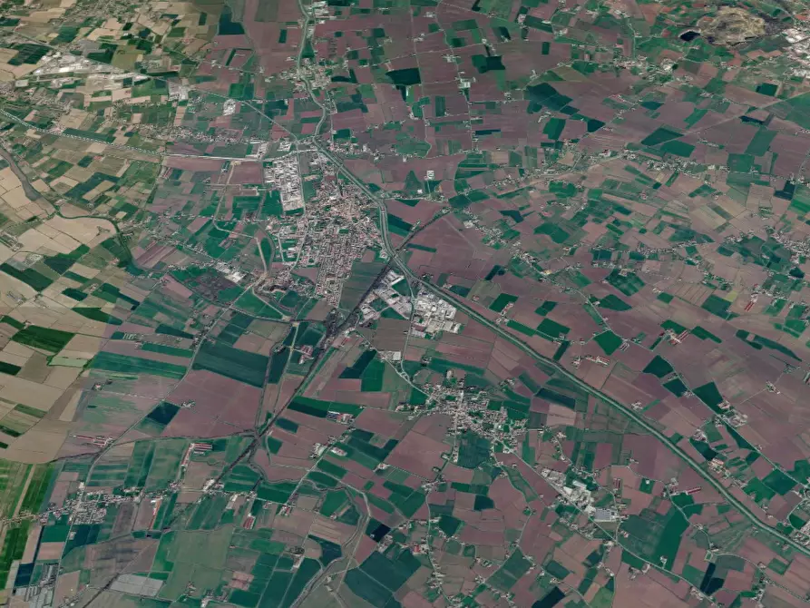 Immagine 12 di Terreno agricolo in vendita  in Via Quari Destra a Cologna Veneta