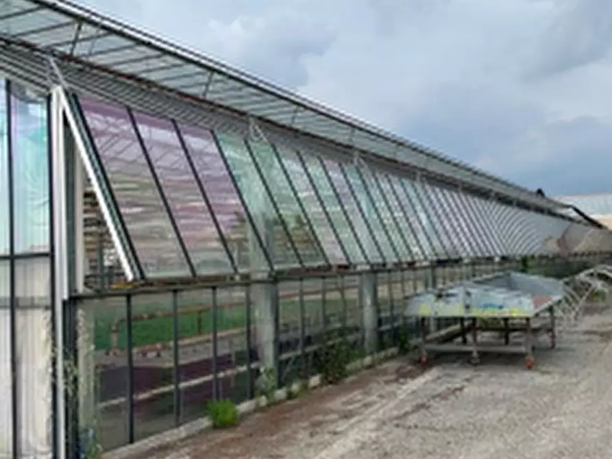Immagine 1 di Capannone industriale in vendita  in Via Roma a Borgoricco