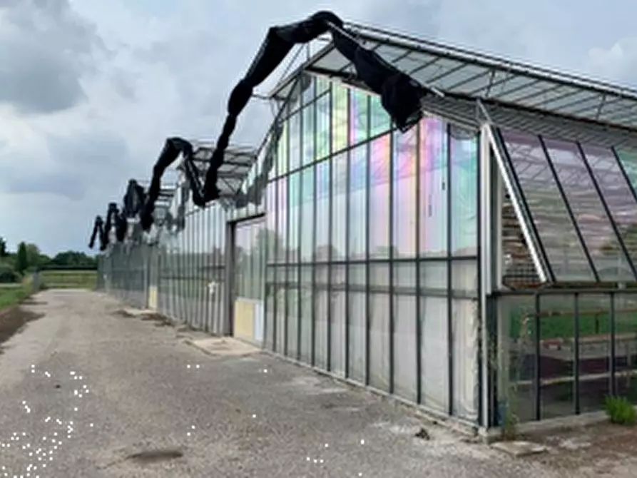 Immagine 2 di Capannone industriale in vendita  in Via Roma a Borgoricco