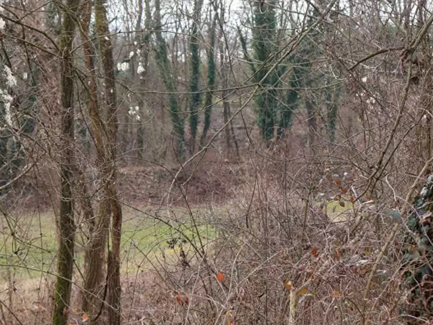 Immagine 7 di Terreno agricolo in vendita  in Via regina Margherita a Biassono