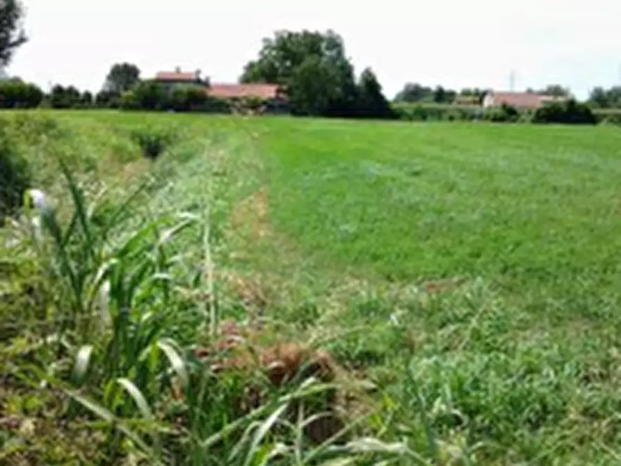 Immagine 1 di Terreno agricolo in vendita  in Via Napoli a Vigonovo