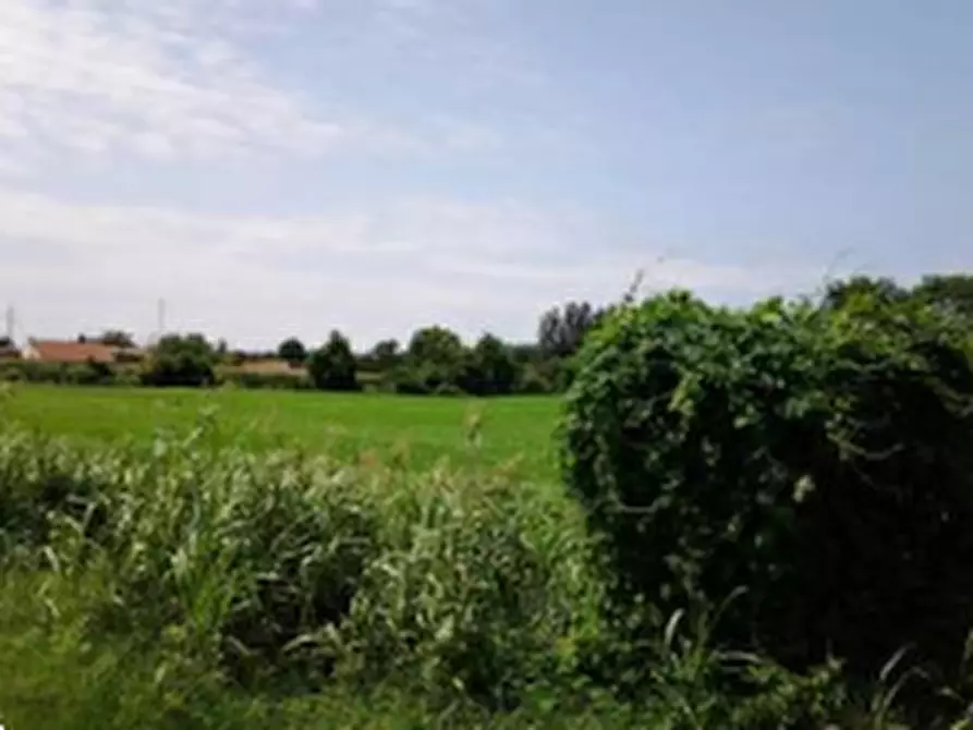 Immagine 3 di Terreno agricolo in vendita  in Via Napoli a Vigonovo