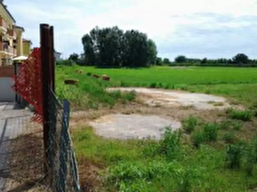 Immagine 4 di Terreno agricolo in vendita  in Via Napoli a Vigonovo