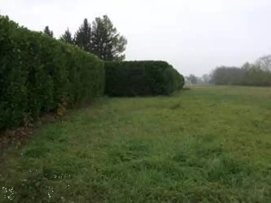 Immagine 2 di Terreno agricolo in vendita  in Via Giotto a Rivanazzano