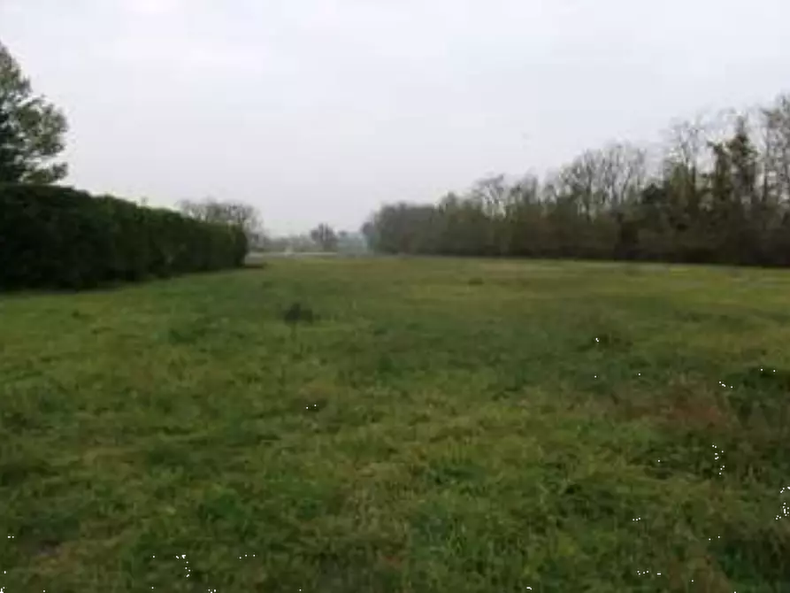 Immagine 3 di Terreno agricolo in vendita  in Via Giotto a Rivanazzano
