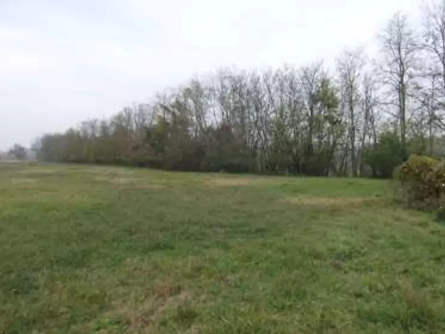 Immagine 4 di Terreno agricolo in vendita  in Via Giotto a Rivanazzano