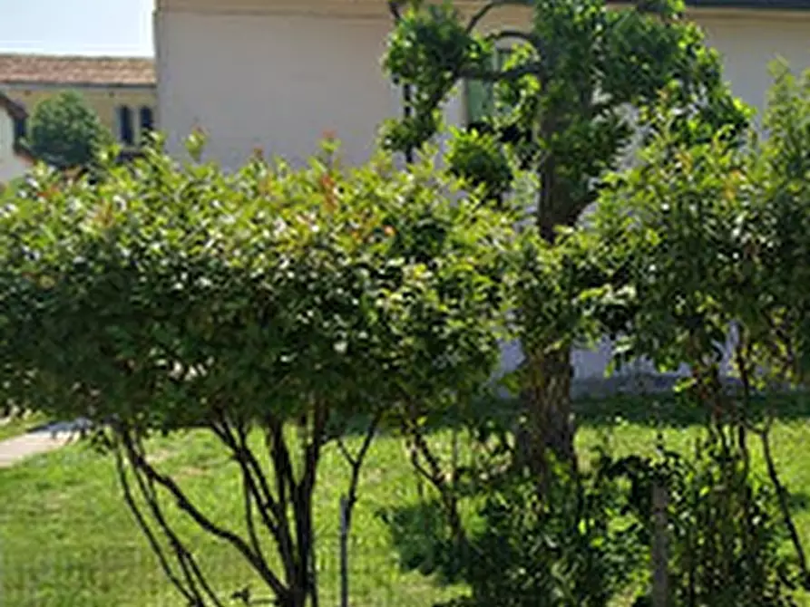 Immagine 5 di Laboratorio in vendita  in Via Moro a Campodoro
