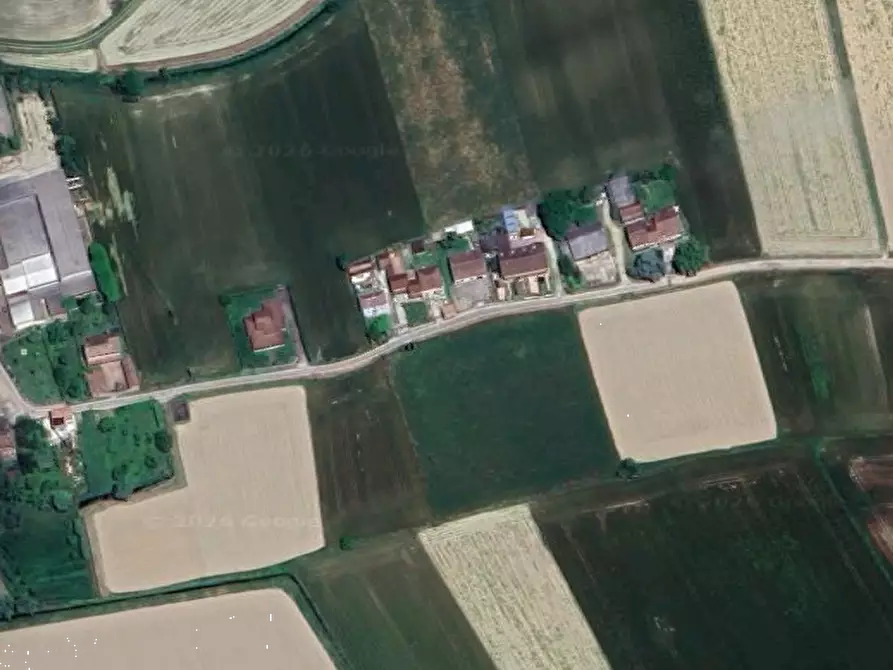 Immagine 7 di Terreno agricolo in vendita  in Cava Manara a Cava Manara