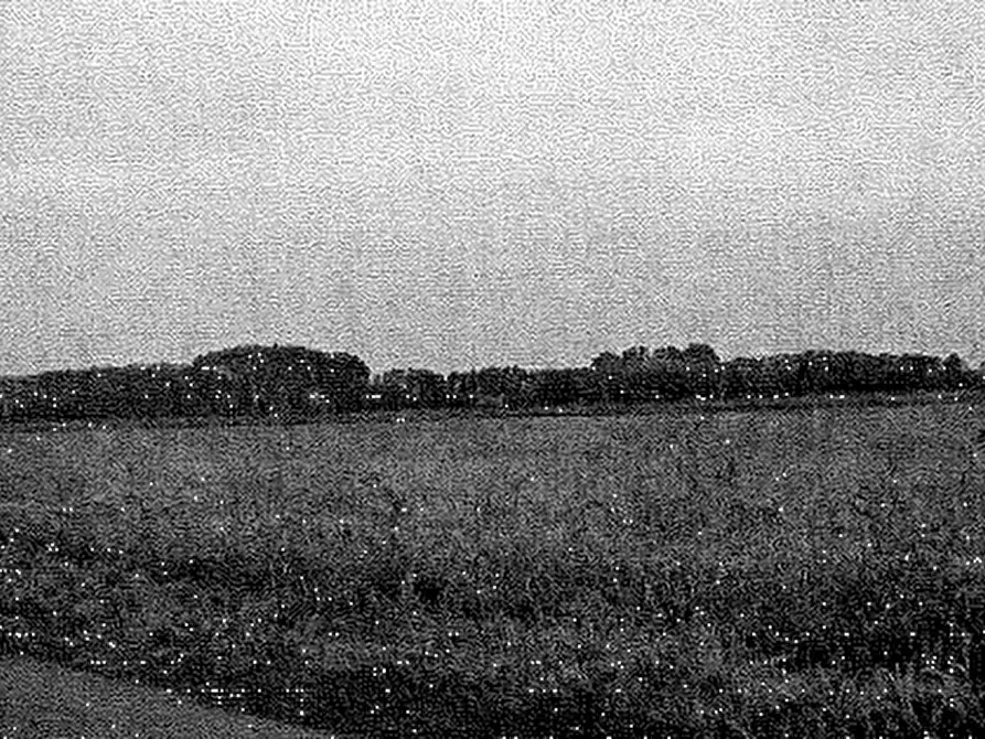 Immagine 13 di Terreno agricolo in vendita  in Cava Manara a Cava Manara
