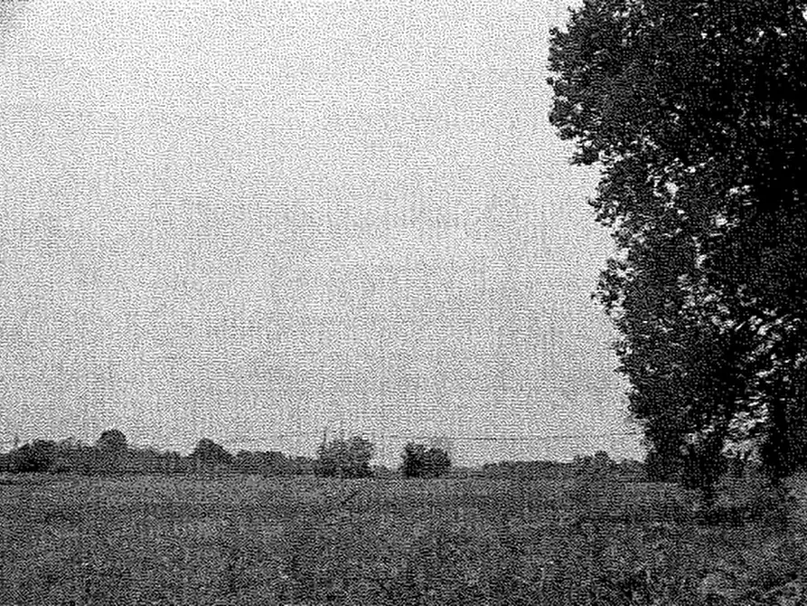 Immagine 1 di Terreno agricolo in vendita  in località Travacò Siccomario a Travacò Siccomario