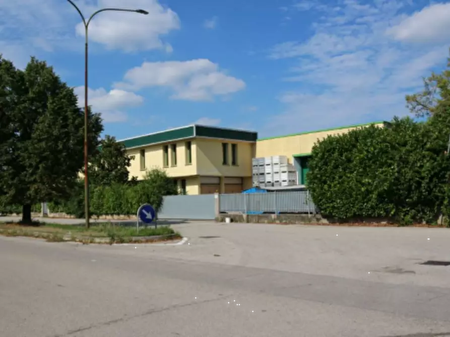 Immagine 3 di Capannone industriale in vendita  in Via Padova a Oderzo
