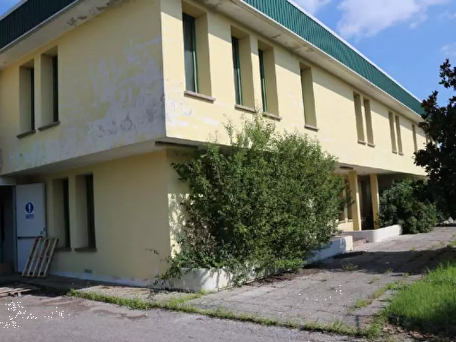 Immagine 6 di Capannone industriale in vendita  in Via Padova a Oderzo