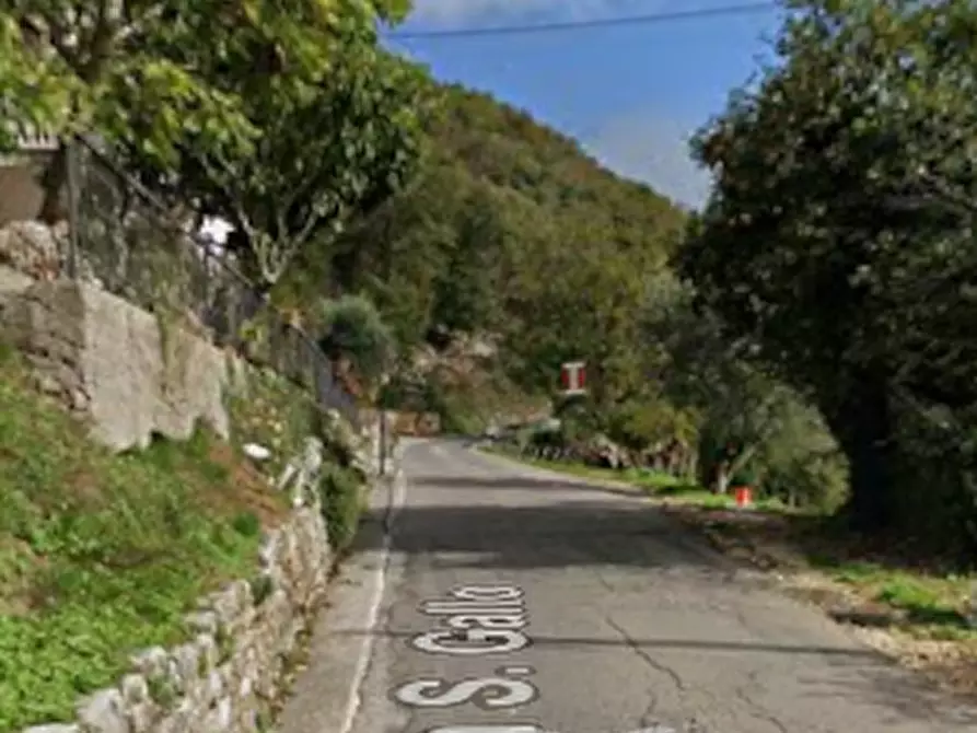 Immagine 8 di Terreno agricolo in vendita  in Via San Gallo a Botticino