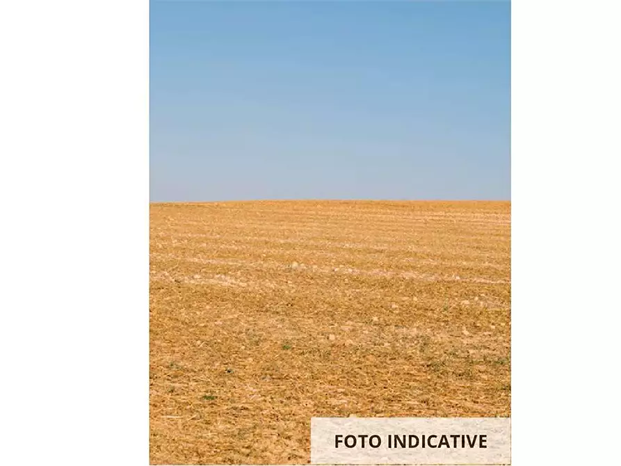 Immagine 14 di Terreno agricolo in vendita  in Via San Gallo a Botticino