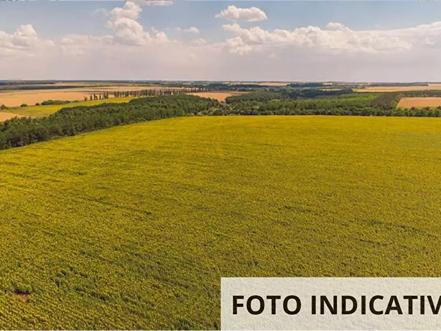 Immagine 16 di Terreno agricolo in vendita  in Via San Gallo a Botticino