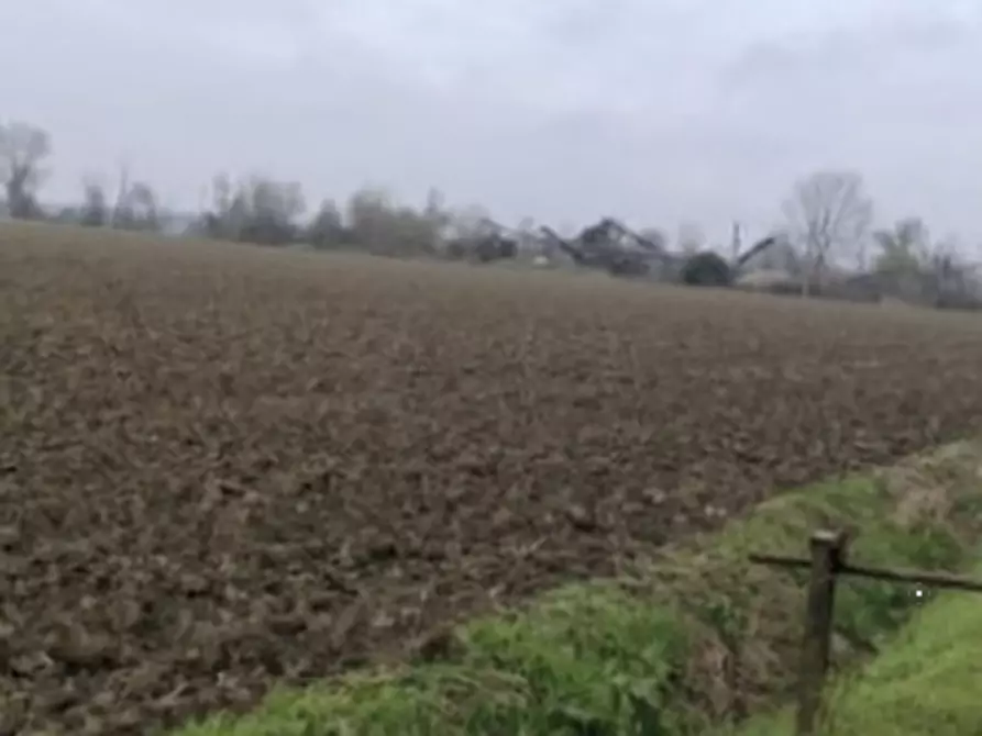 Immagine 1 di Terreno agricolo in vendita  in Località Arena Po a Arena Po