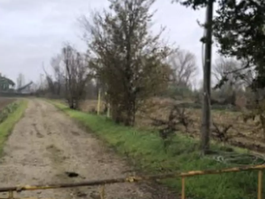 Immagine 3 di Terreno agricolo in vendita  in Località Arena Po a Arena Po
