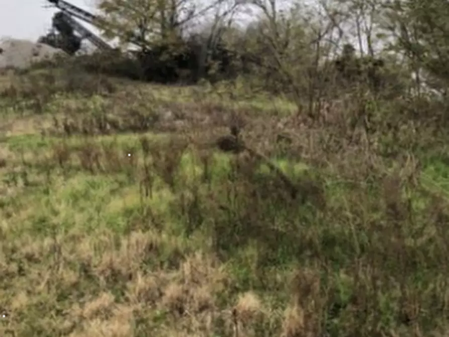 Immagine 4 di Terreno agricolo in vendita  in Località Arena Po a Arena Po
