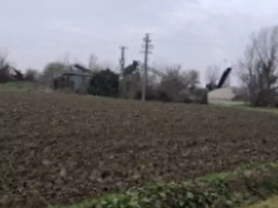 Immagine 5 di Terreno agricolo in vendita  in Località Arena Po a Arena Po