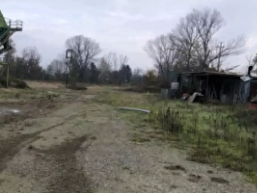 Immagine 6 di Terreno agricolo in vendita  in Località Arena Po a Arena Po