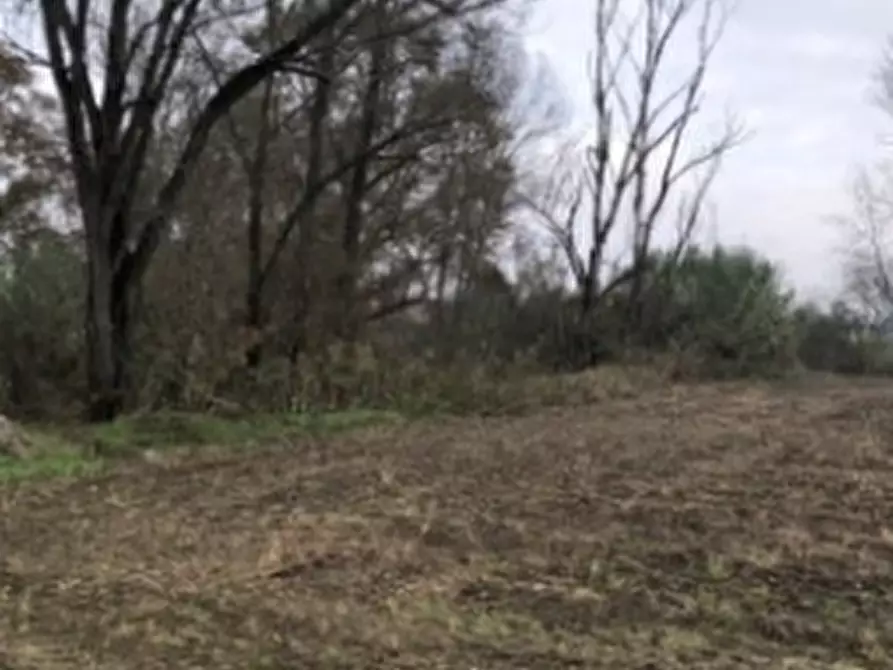 Immagine 8 di Terreno agricolo in vendita  in Località Arena Po a Arena Po
