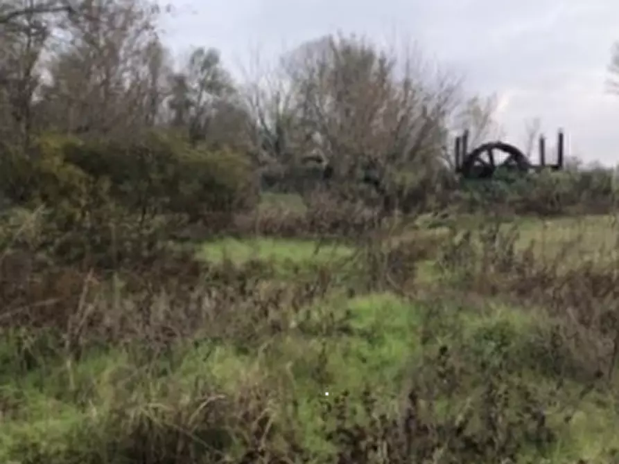 Immagine 9 di Terreno agricolo in vendita  in Località Arena Po a Arena Po