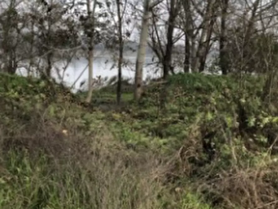 Immagine 11 di Terreno agricolo in vendita  in Località Arena Po a Arena Po