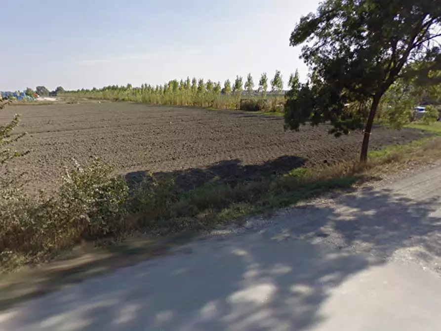 Immagine 3 di Terreno edificabile in vendita  in Via Ponte Bianco a Camposanto