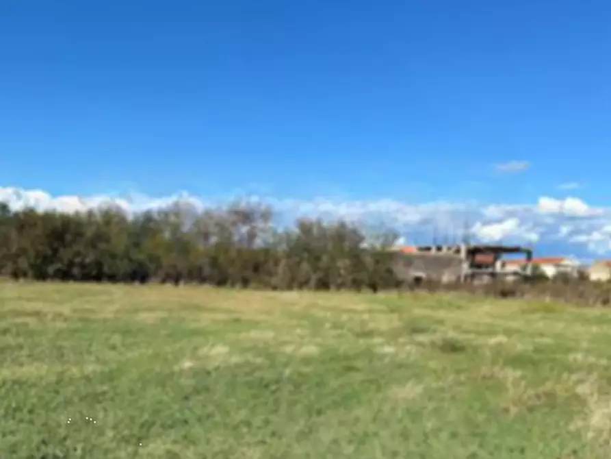 Immagine 1 di Terreno agricolo in vendita  in Località Della Pietra a Grazzanise