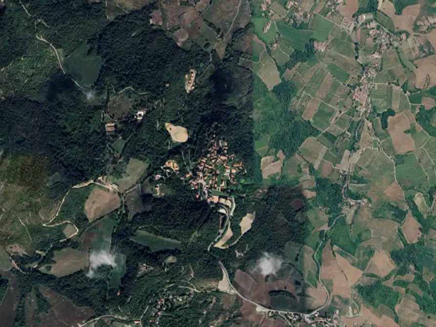 Immagine 3 di Terreno agricolo in vendita  in località  Fortunago a Fortunago