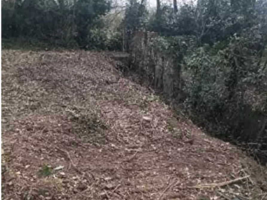 Immagine 5 di Appartamento in vendita  in Via S. Lazzaro a Caianello