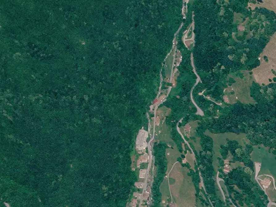 Immagine 1 di Terreno agricolo in vendita  in Via Roma a Pertica Bassa
