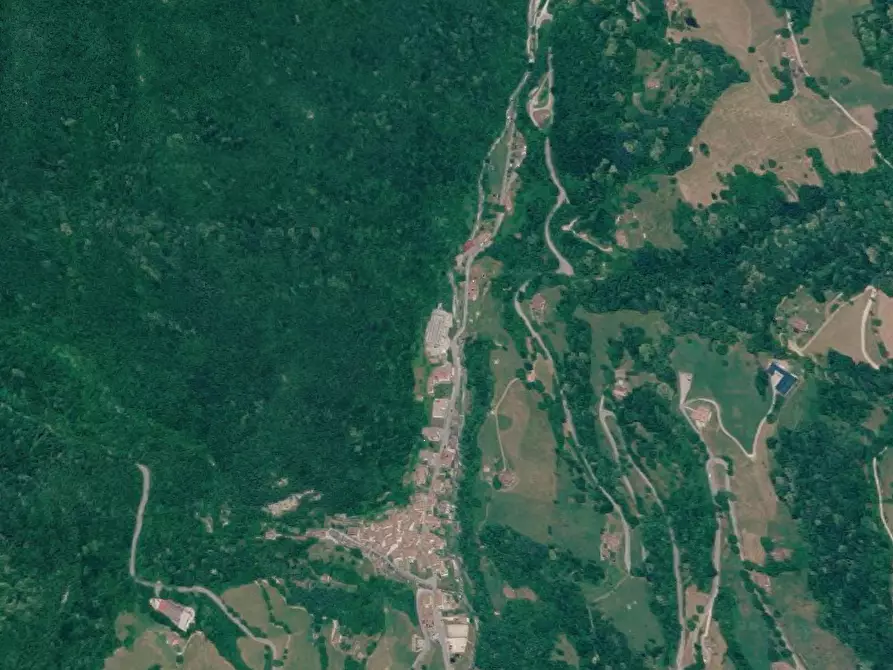 Immagine 2 di Terreno agricolo in vendita  in Via Roma a Pertica Bassa