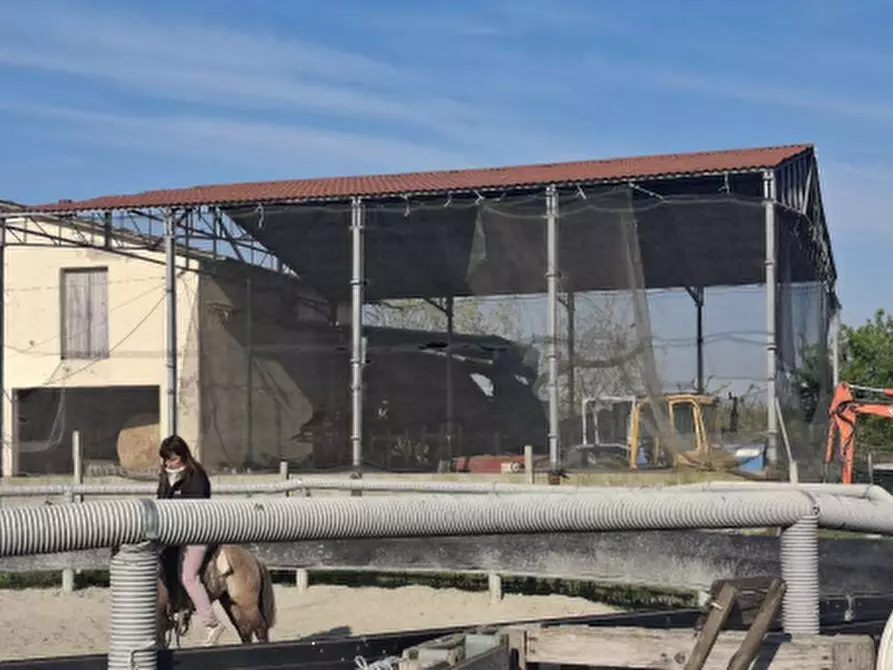 Immagine 6 di Casa indipendente in vendita  in Via San Bernardino  a San Cesario Sul Panaro