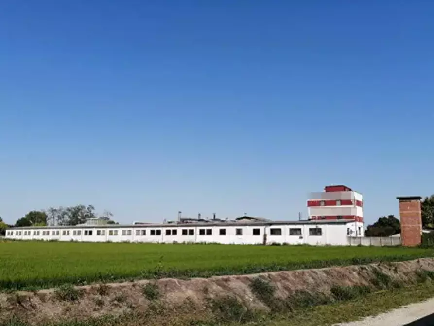 Immagine 1 di Capannone industriale in vendita  in Strada Pavese a Mortara