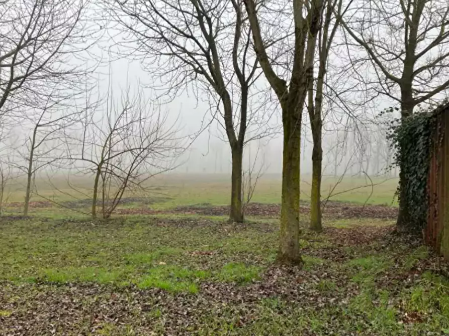 Immagine 1 di Terreno agricolo in vendita  in Via Montello  a San Giorgio In Bosco