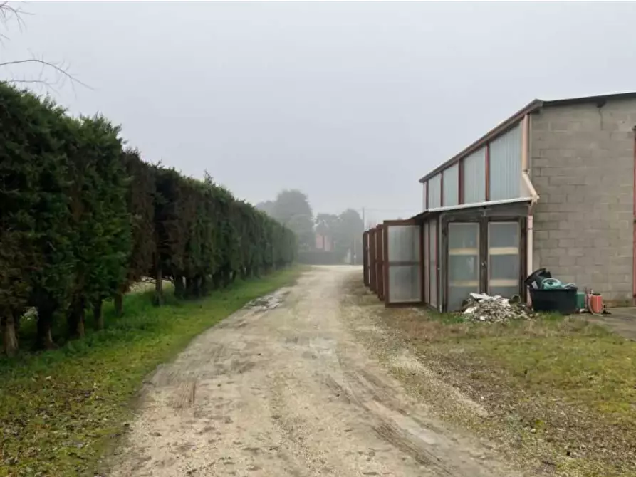 Immagine 5 di Terreno agricolo in vendita  in Via Montello  a San Giorgio In Bosco