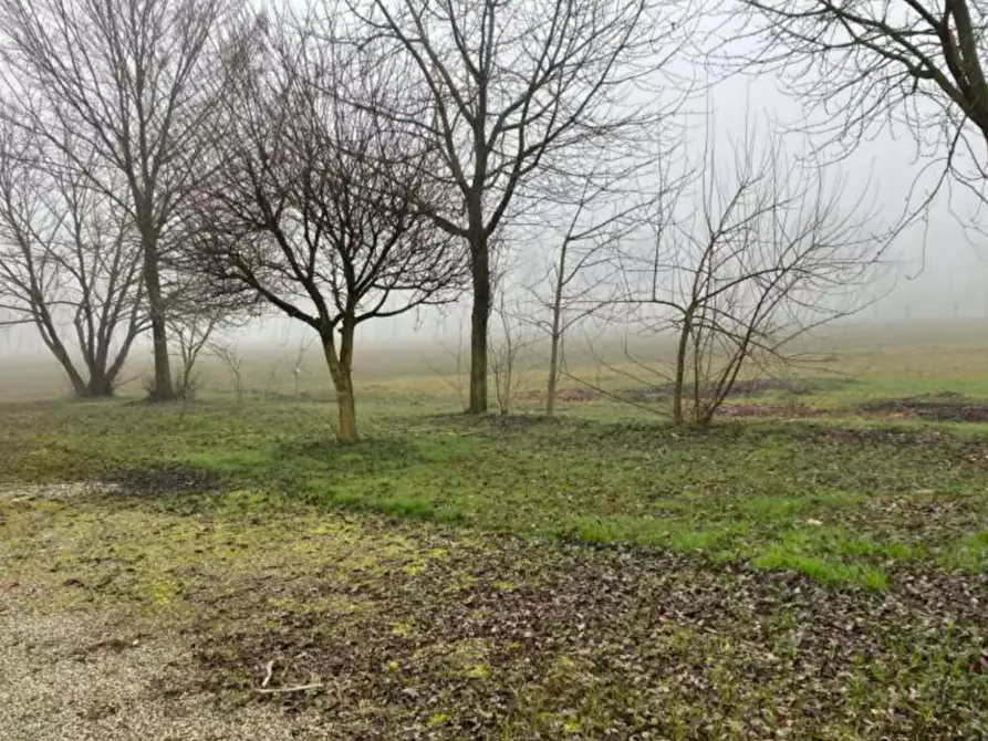 Immagine 6 di Terreno agricolo in vendita  in Via Montello  a San Giorgio In Bosco