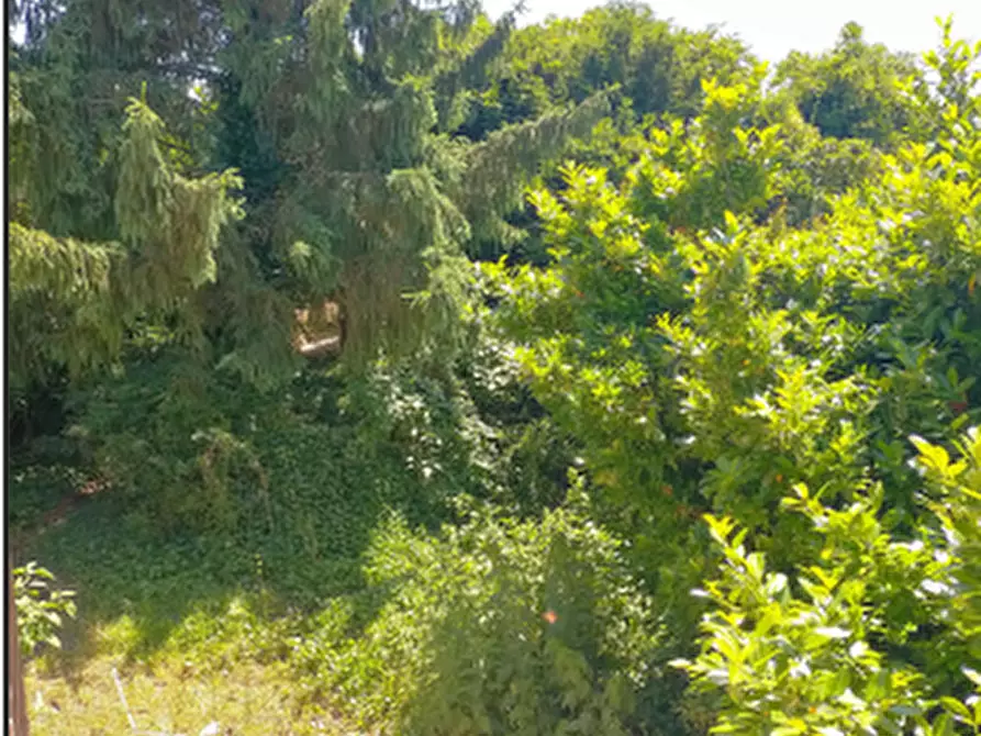 Immagine 13 di Appartamento in vendita  in via Campanella a Suardi