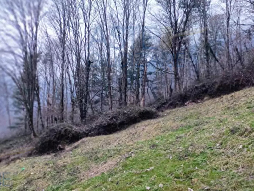 Immagine 7 di Rustico / casale in vendita  in Via Case Sparse a Gardone Val Trompia