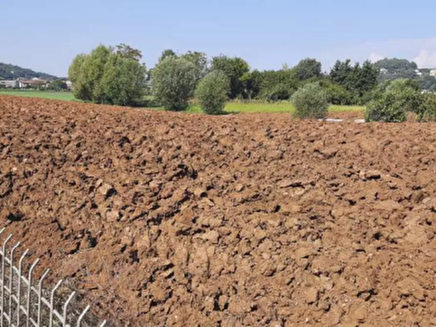 Immagine 3 di Terreno edificabile in vendita  in Via IV Novembre a Altavilla Vicentina