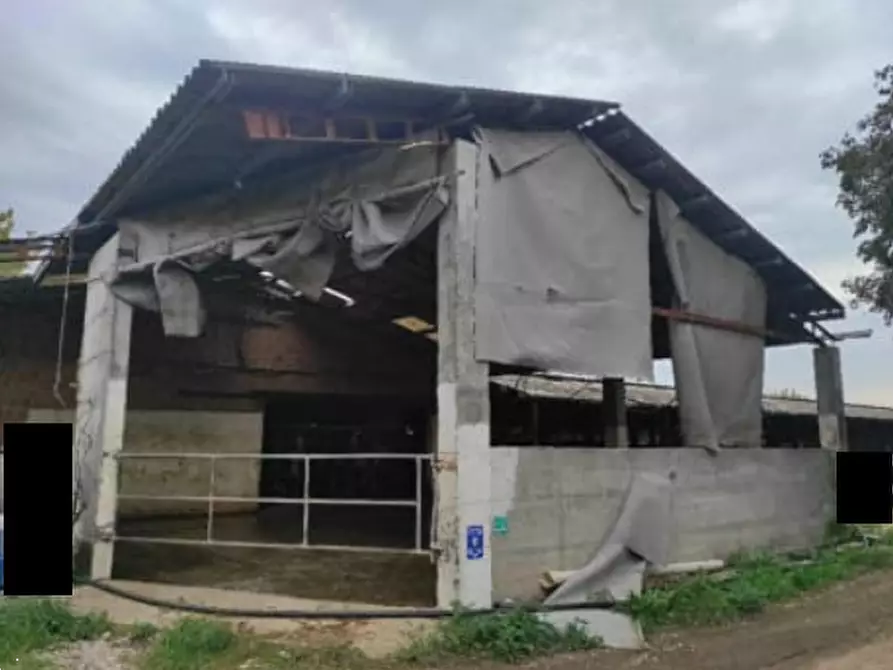 Immagine 9 di Rustico / casale in vendita  in Via Campagna a Istrana