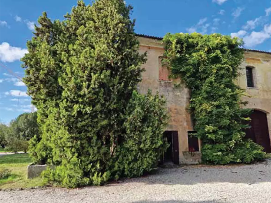 Immagine 15 di Villa in vendita  in Corso Giuseppe Mazzini a Montebelluna