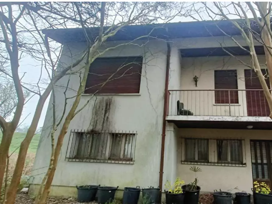 Immagine 4 di Casa indipendente in vendita  in Viale P. Frassinetti a Oderzo