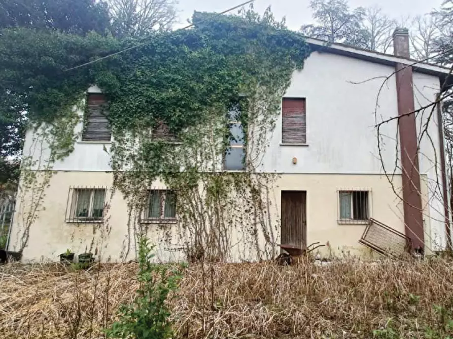 Immagine 5 di Casa indipendente in vendita  in Viale P. Frassinetti a Oderzo