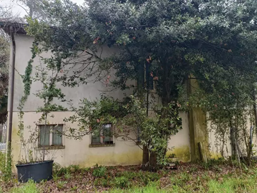 Immagine 6 di Casa indipendente in vendita  in Viale P. Frassinetti a Oderzo