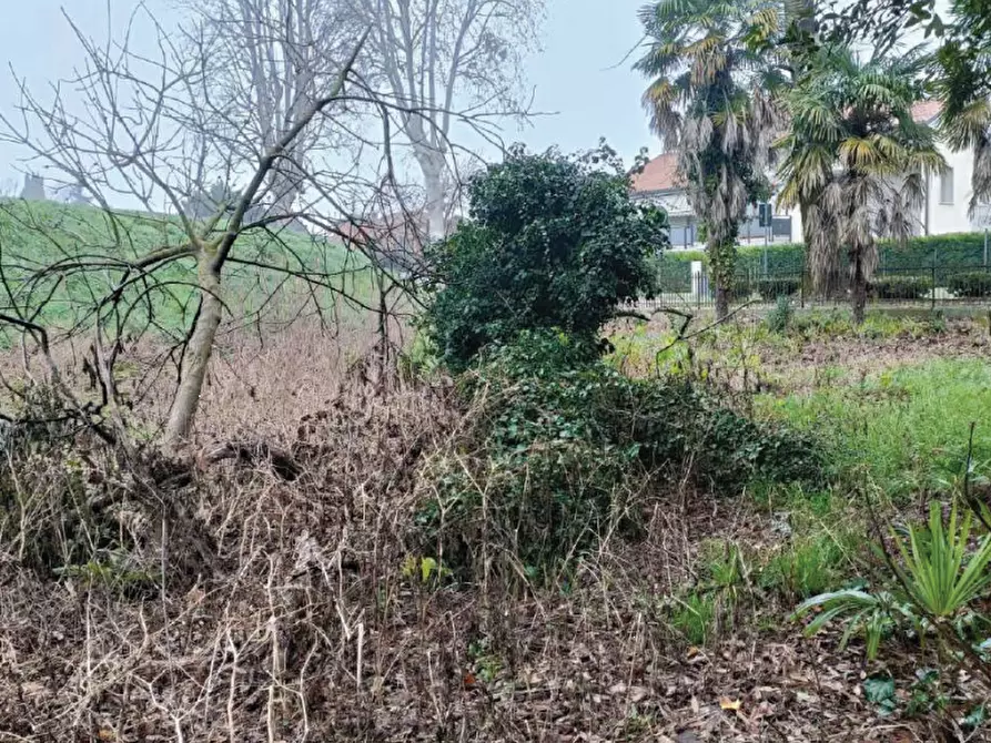 Immagine 11 di Casa indipendente in vendita  in Viale P. Frassinetti a Oderzo