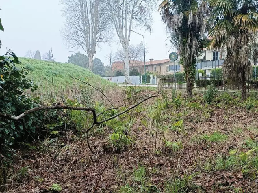 Immagine 12 di Casa indipendente in vendita  in Viale P. Frassinetti a Oderzo